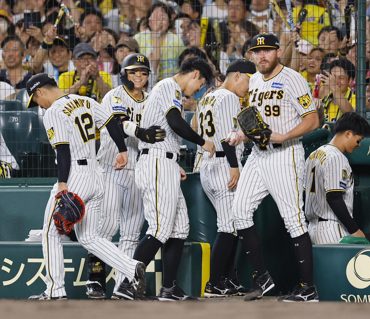 阪神対ヤクルト　2回裏阪神1死、2者連続の本塁打を放ち佐藤輝（左から3人目）と喜ぶ前川（左から2人目（撮影・藤尾明華）