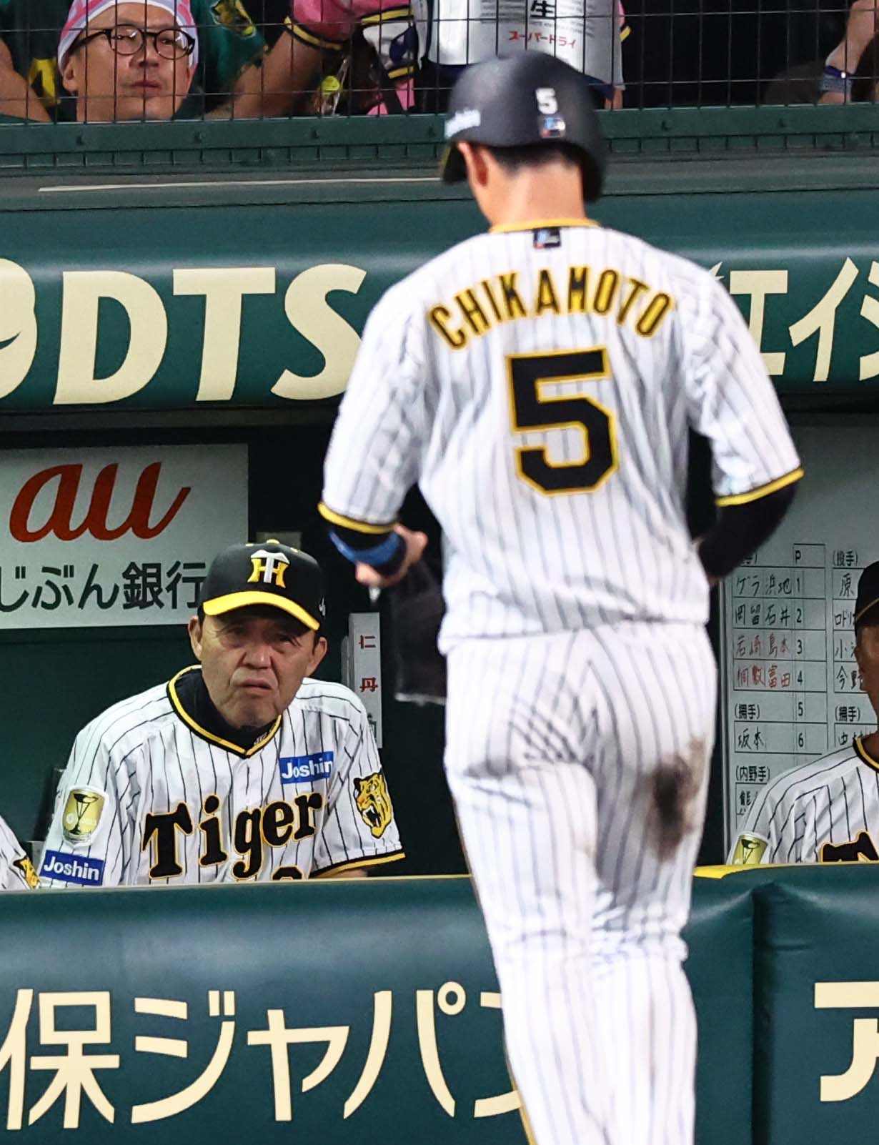 阪神対ヤクルト　3回裏阪神1死一塁、リクエスト判定も二盗アウトとなった近本（右）とベンチで厳しい表情を見せる岡田監督（撮影・上田博志）