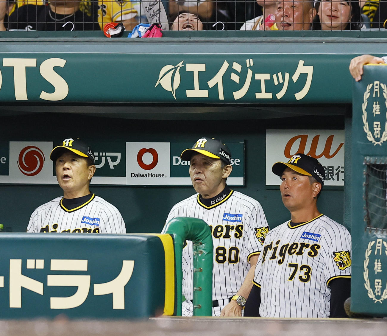 阪神対ヤクルト　3回裏阪神1死一塁、打者中野のとき近本が二盗。リクエストするも判定変わらずアウトになりベンチで驚く岡田監督（中央）らコーチ陣（撮影・藤尾明華）