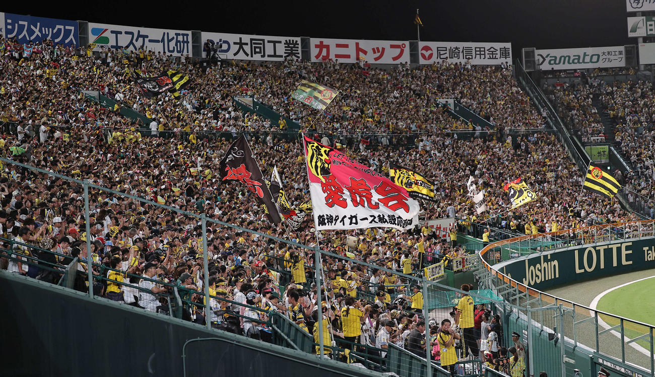 阪神対ヤクルト　ライトスタンドで応援するファン（撮影・上田博志）