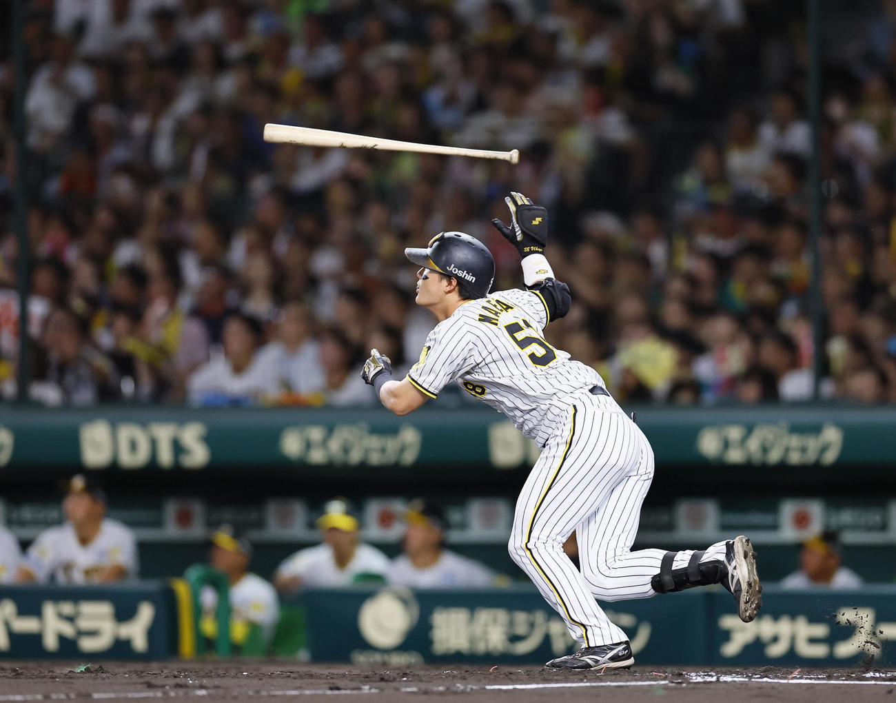 阪神対ヤクルト　2回裏阪神1死、前川は右越えに2者連続のソロ本塁打を放つ（撮影・藤尾明華）