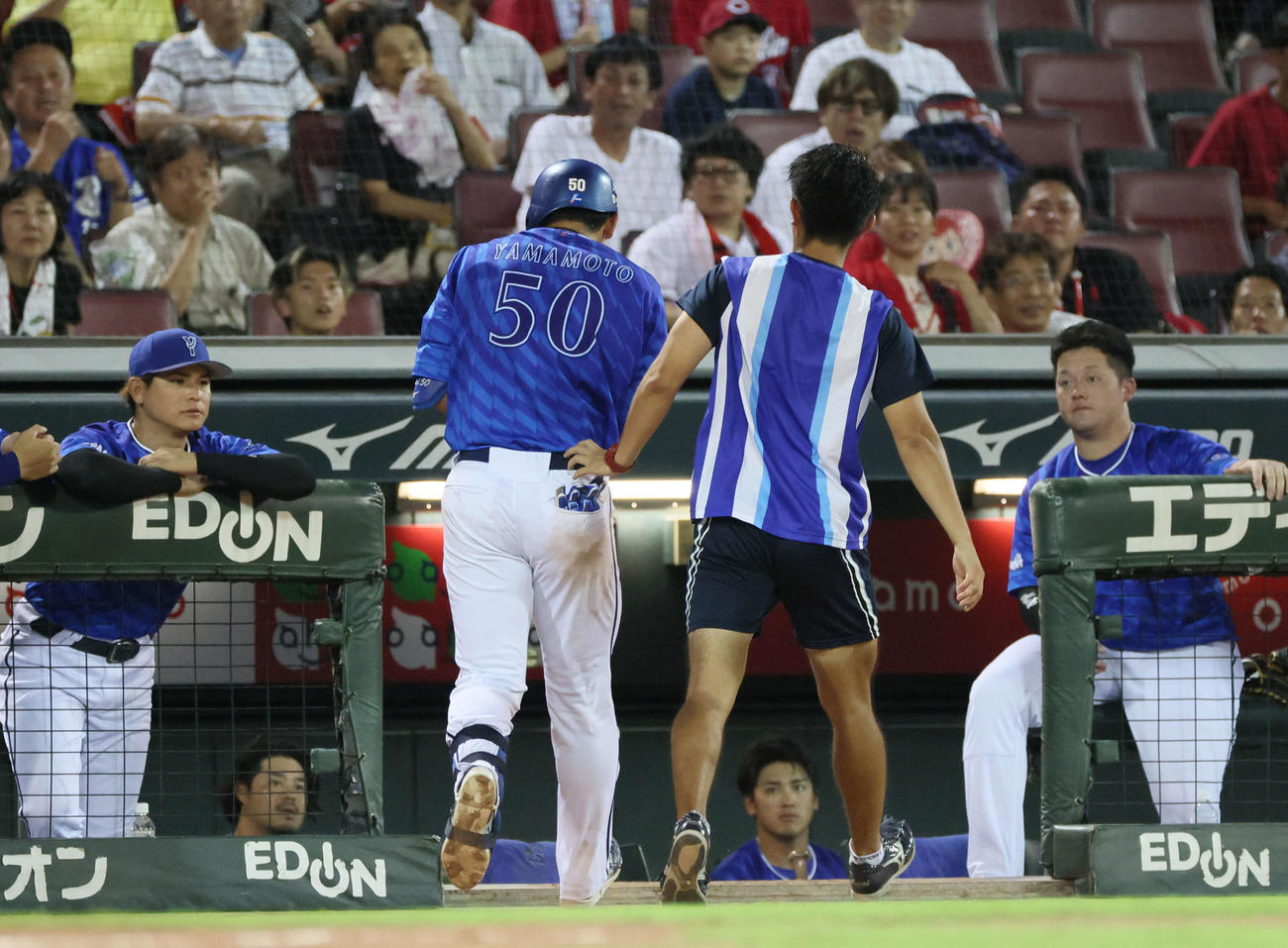 15日、広島対DeNA　5回表DeNA2死一、三塁、山本は死球でベンチに引き揚げる（撮影・加藤孝規）