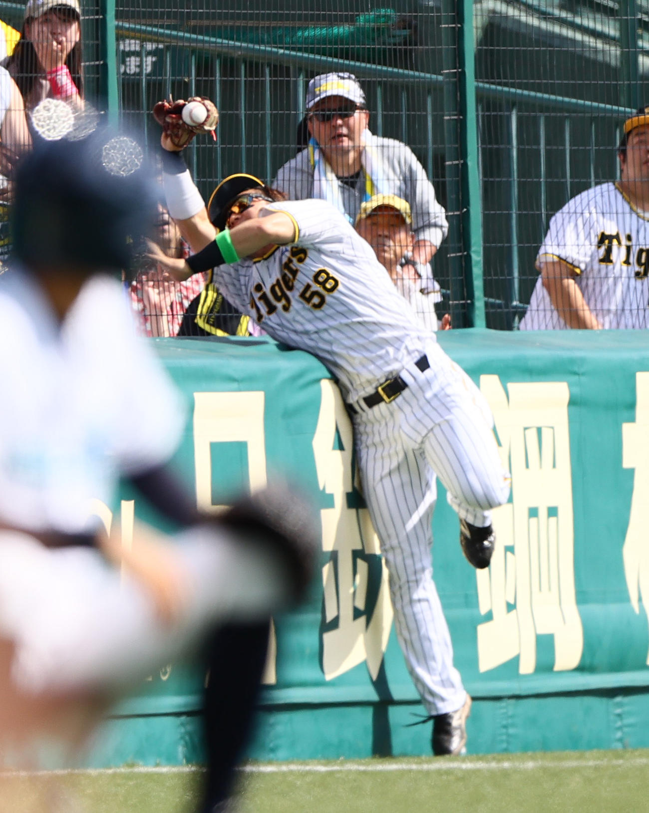 阪神対ヤクルト　1回表ヤクルト2死満塁、左翼手前川は増田の飛球を好捕する（撮影・上山淳一）