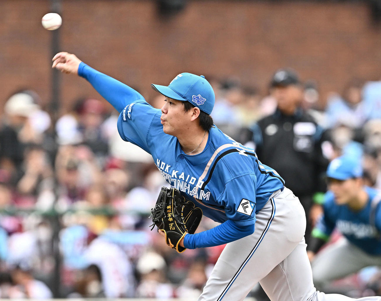 楽天対日本ハム　日本ハム先発の金村（撮影・滝沢徹郎）