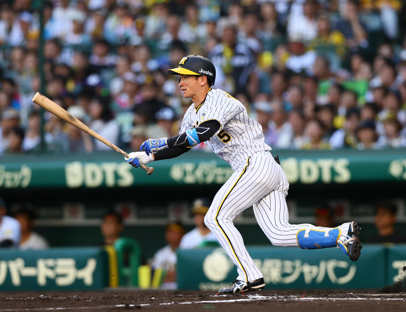 阪神対ヤクルト　7回裏阪神無死、近本は中前打を放つ（撮影・上山淳一）