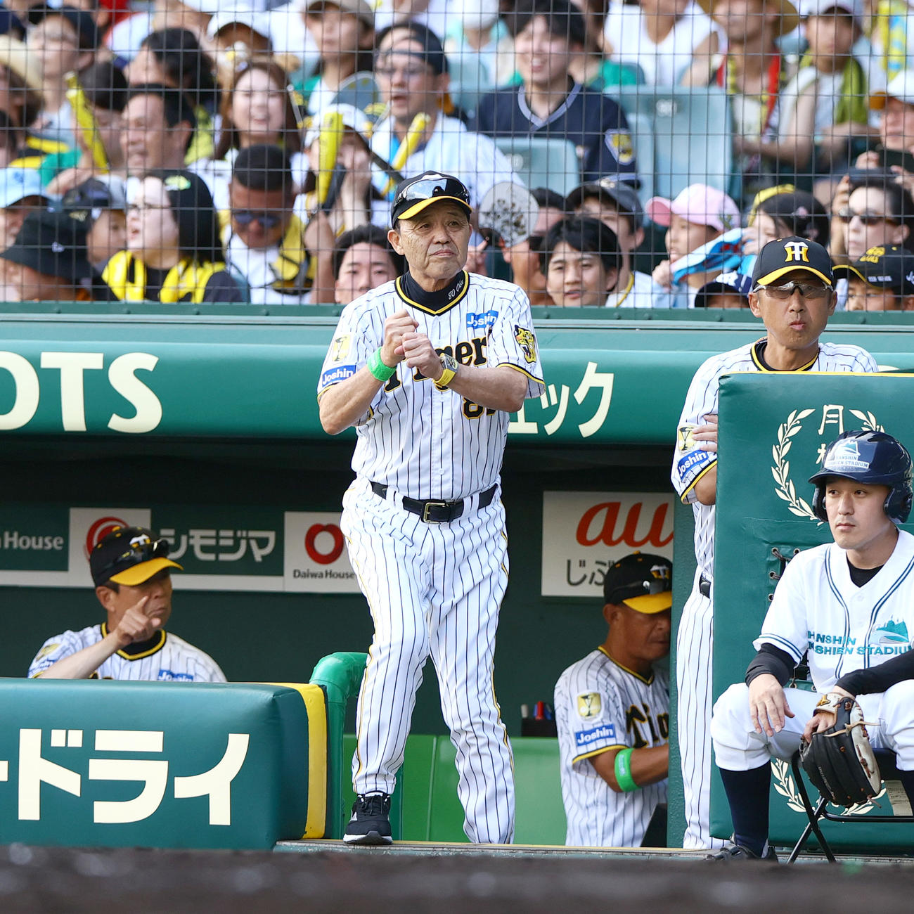 阪神対ヤクルト　6回裏阪神1死満塁、岡田監督は球審に代打を告げる（撮影・上山淳一）