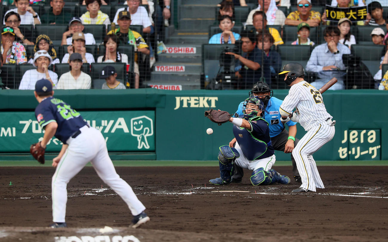 阪神対ヤクルト　6回裏阪神2死満塁、中村は打者代打渡辺のときパスボールで失点。投手木沢（撮影・加藤哉）