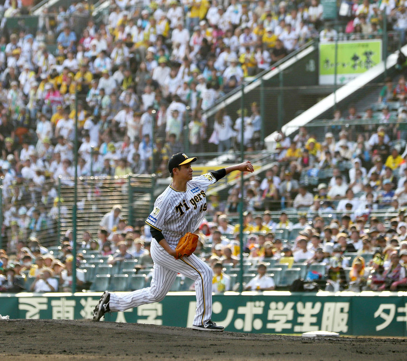 阪神対ヤクルト　6回表ヤクルト2死、中村にスローボールを投げる阪神大竹（撮影・上山淳一）