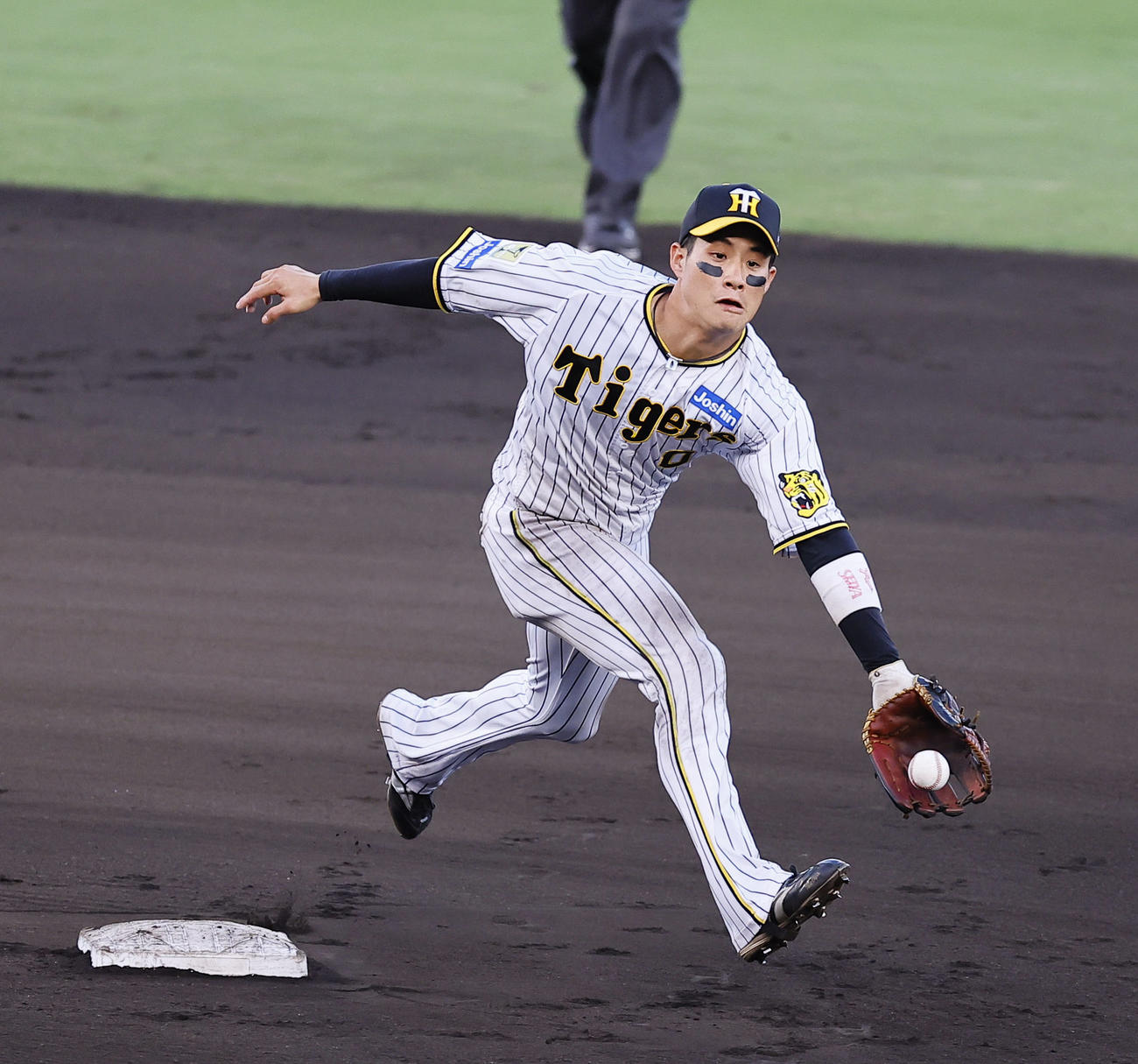 阪神対ヤクルト　8回表ヤクルト2死、代打宮本の遊ゴロで好守を見せる木浪（撮影・藤尾明華）