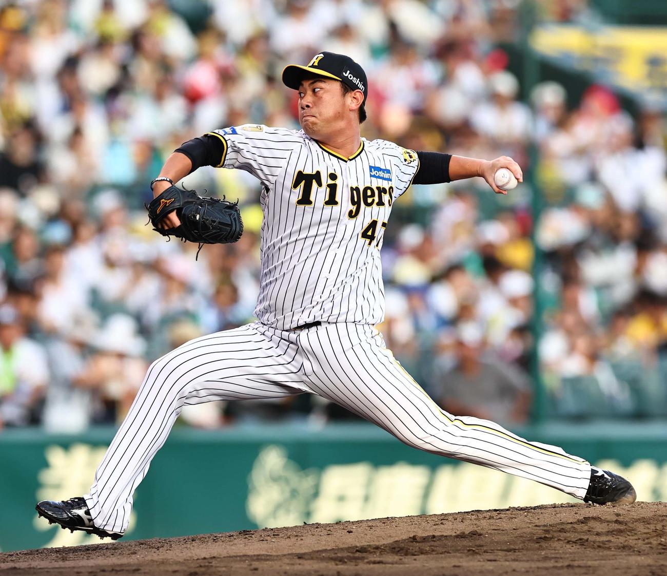 阪神対ヤクルト　阪神2番手の桐敷（撮影・上田博志）