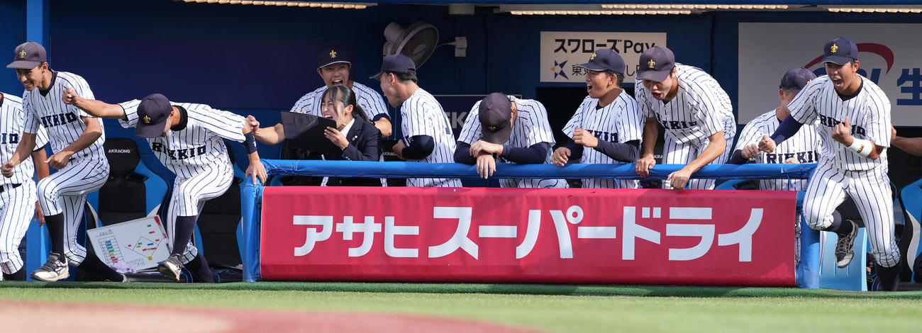 慶大対立大　慶大に勝利し、喜ぶ立大ベンチ（撮影・鈴木みどり）