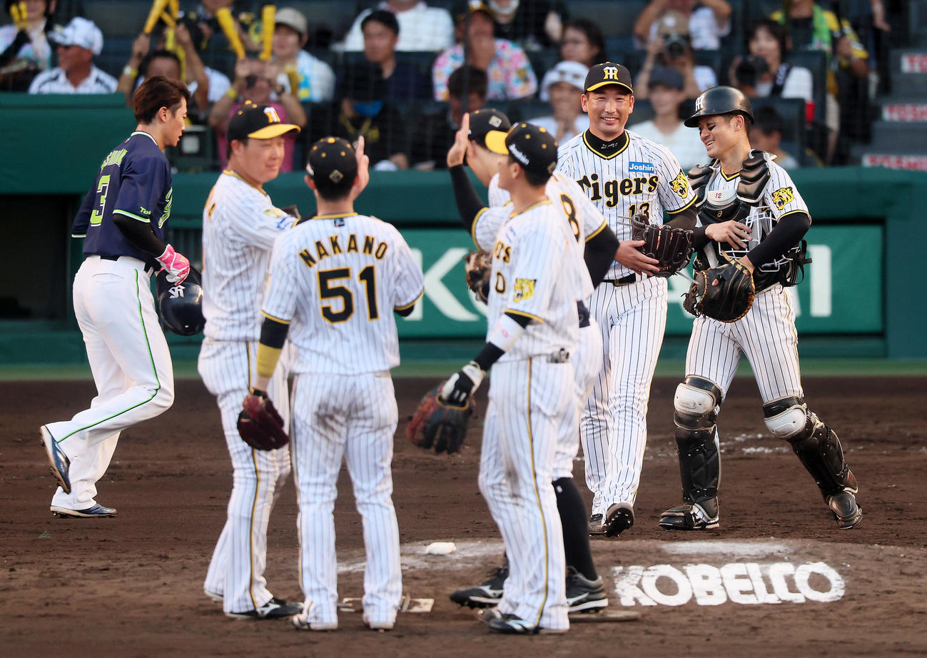 阪神対ヤクルト　ヤクルトに勝利しマウンドでナインとタッチする岩崎（撮影・加藤哉）