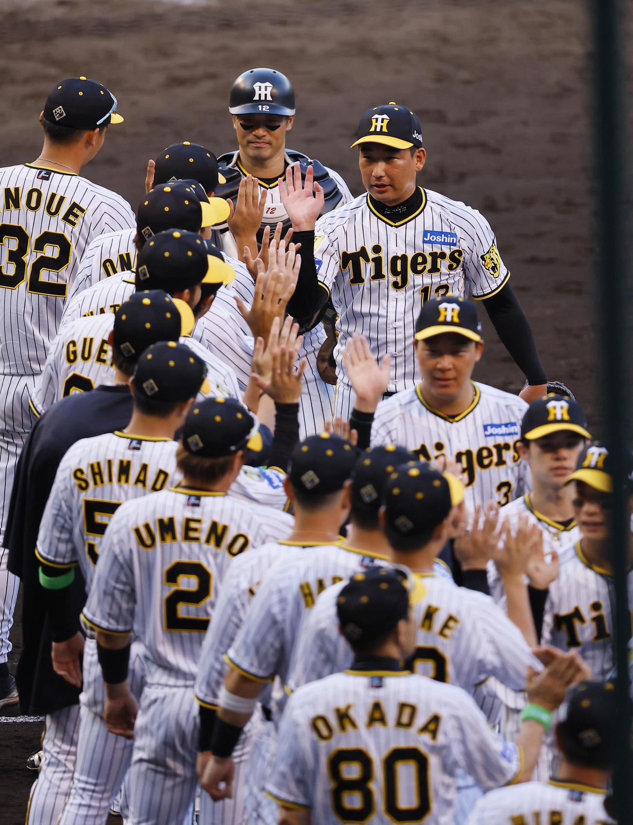 阪神対ヤクルト　勝利を飾りタッチを交わす阪神岩崎（奥右）（撮影・藤尾明華）