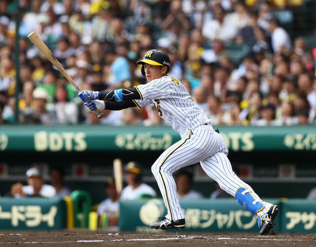 阪神対ヤクルト　5回裏阪神1死一塁、近本は左前打を放つ（撮影・上山淳一）
