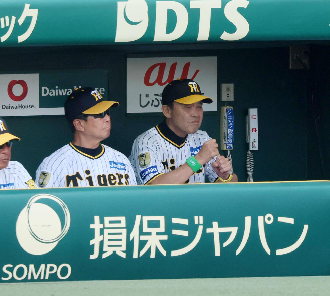 阪神対ヤクルト　5回裏、ベンチから戦況を見つめる岡田監督（撮影・加藤哉）
