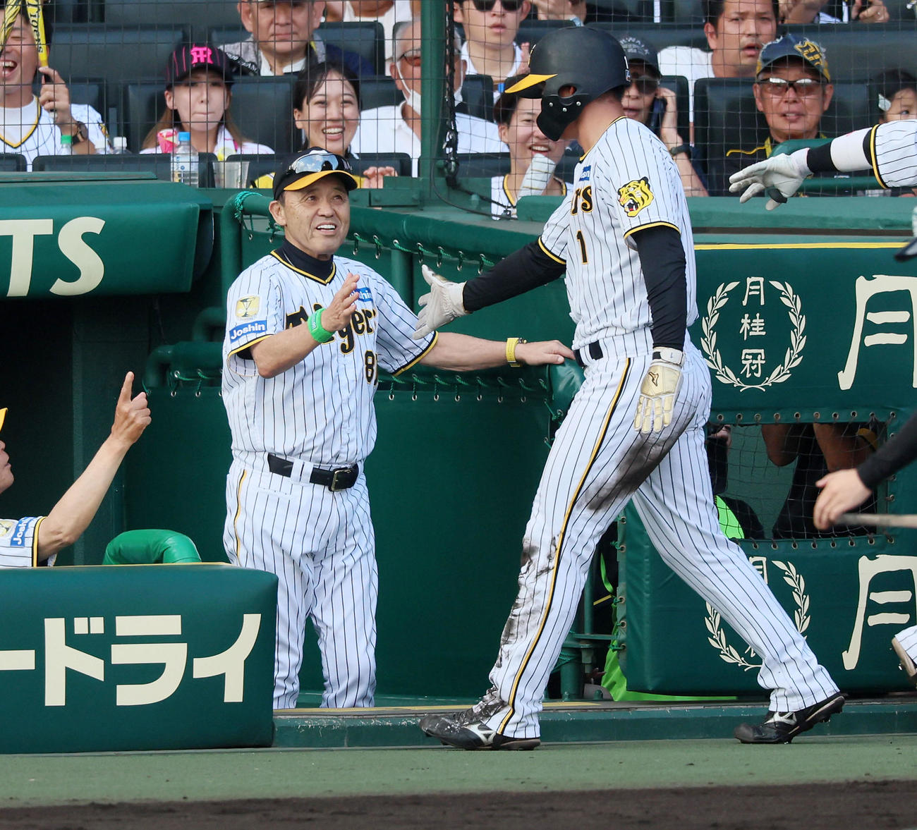 阪神対ヤクルト　6回裏阪神無死満塁、岡田監督は前川の中犠飛で生還した森下を迎える（撮影・加藤哉）