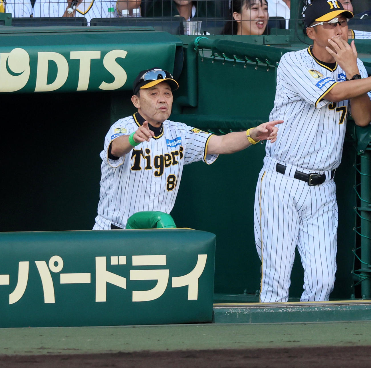阪神対ヤクルト　7回裏阪神1死一塁、大山の打球についてリクエストする岡田監督（撮影・加藤哉）