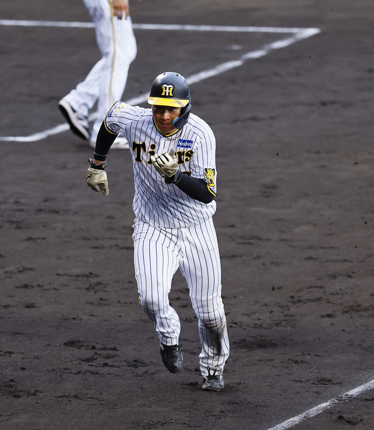 阪神対ヤクルト　6回裏阪神2死満塁、代打渡辺のとき相手暴投で生還する大山（撮影・藤尾明華）