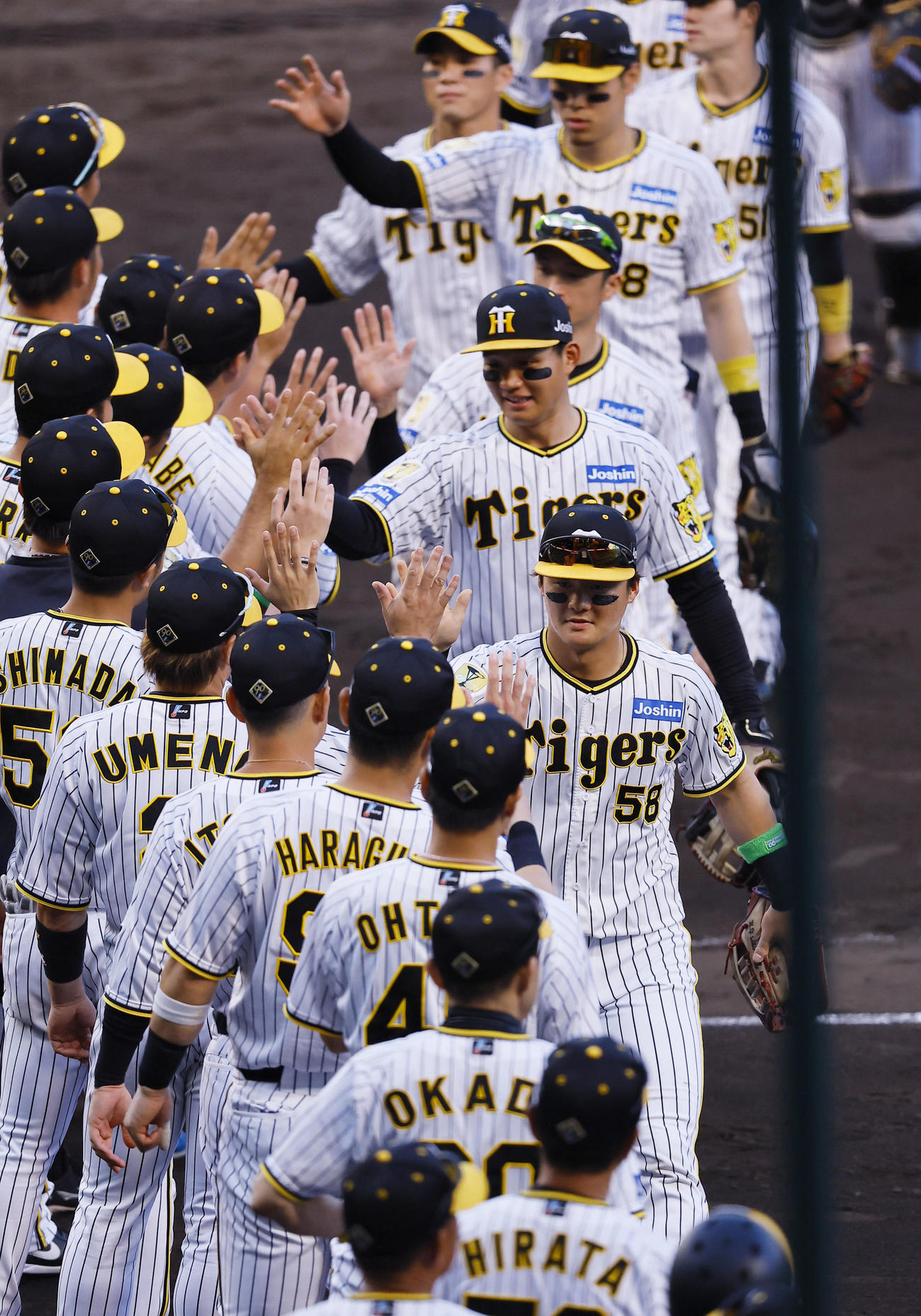 阪神対ヤクルト　勝利を飾りタッチを交わす、右手前から阪神前川、森下ら阪神ナイン（撮影・藤尾明華）