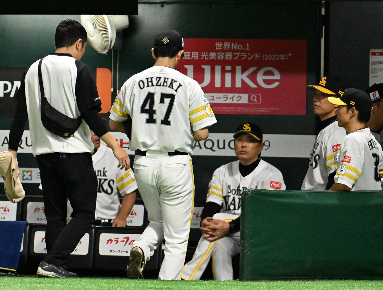 ソフトバンク対日本ハム　6回表、手当のためベンチに引き上げる大関（左から2番目）（撮影・林敢治）