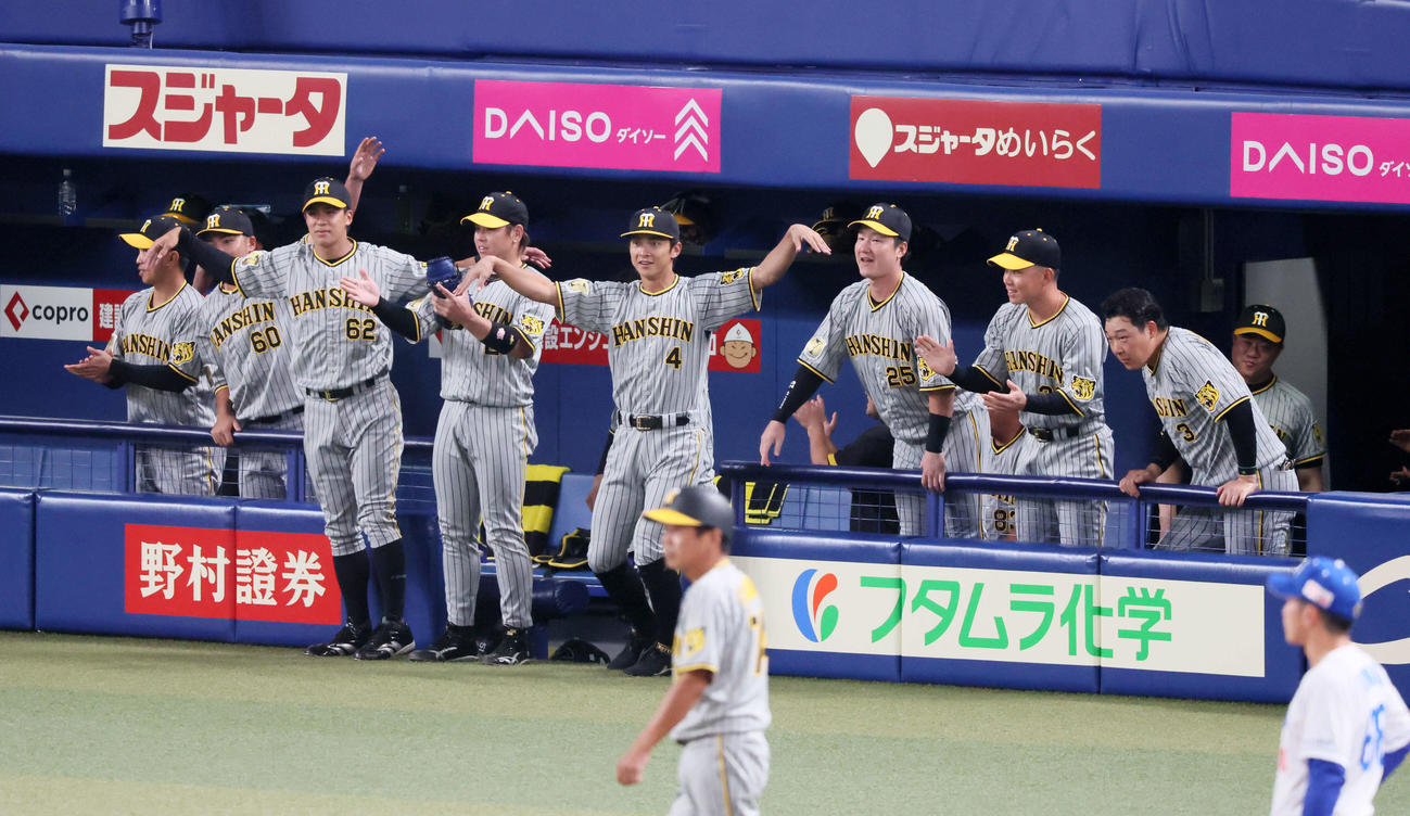中日対阪神　2回表阪神1死二塁、前川の中前適時打にカモメポーズを見せるベンチのナイン（撮影・加藤哉）