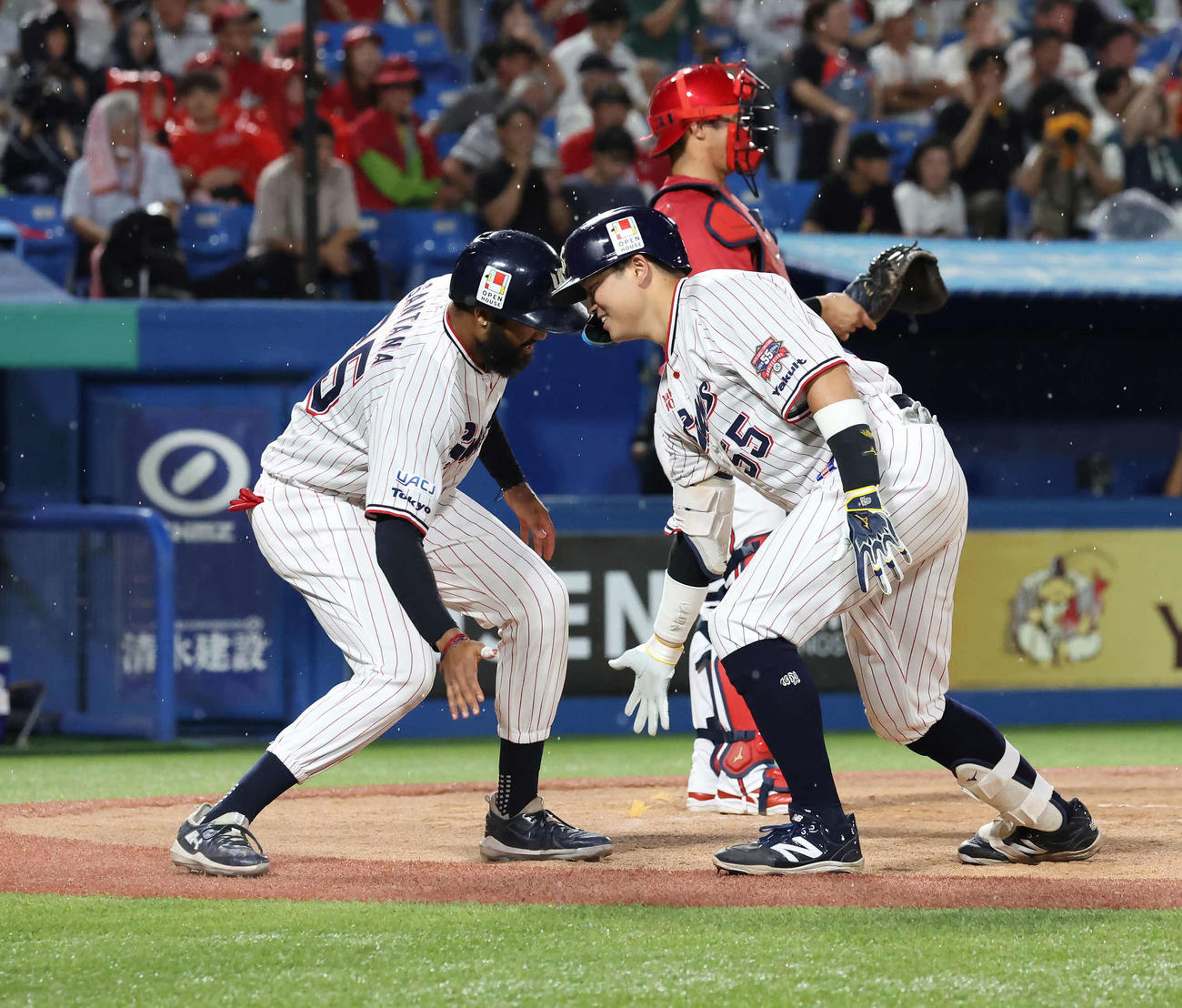 ヤクルト対広島　4回裏ヤクルト無死一塁、村上は右越えに2点本塁打を放ち一塁走者サンタナと喜び合う（撮影・丹羽敏通）