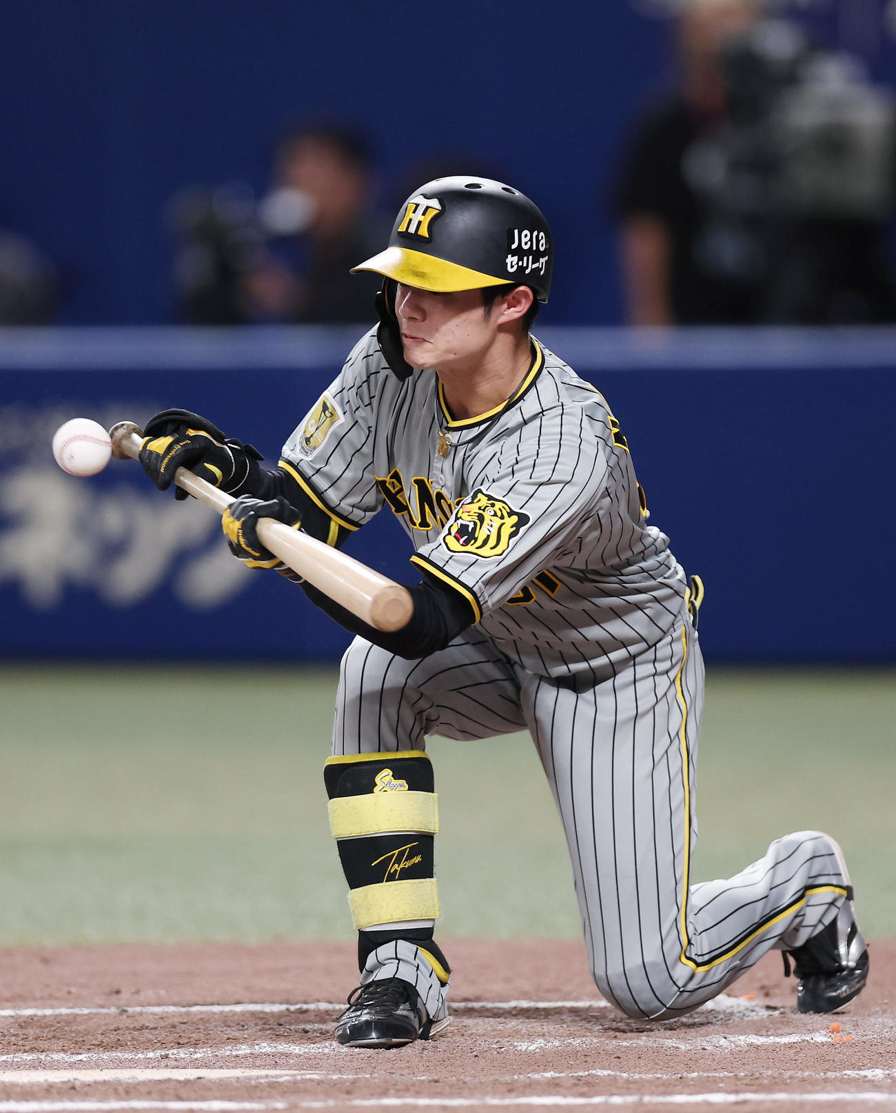 中日対阪神　7回表阪神無死一塁、犠打を決める中野（撮影・前田充）