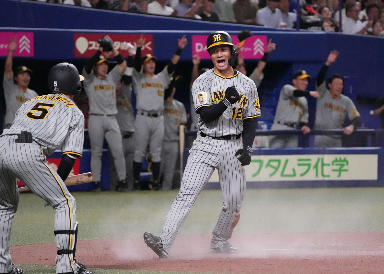 中日対阪神　4回表阪神2死二塁、坂本は村上の右前適時打で生還し雄たけびを上げる（撮影・森本幸一）