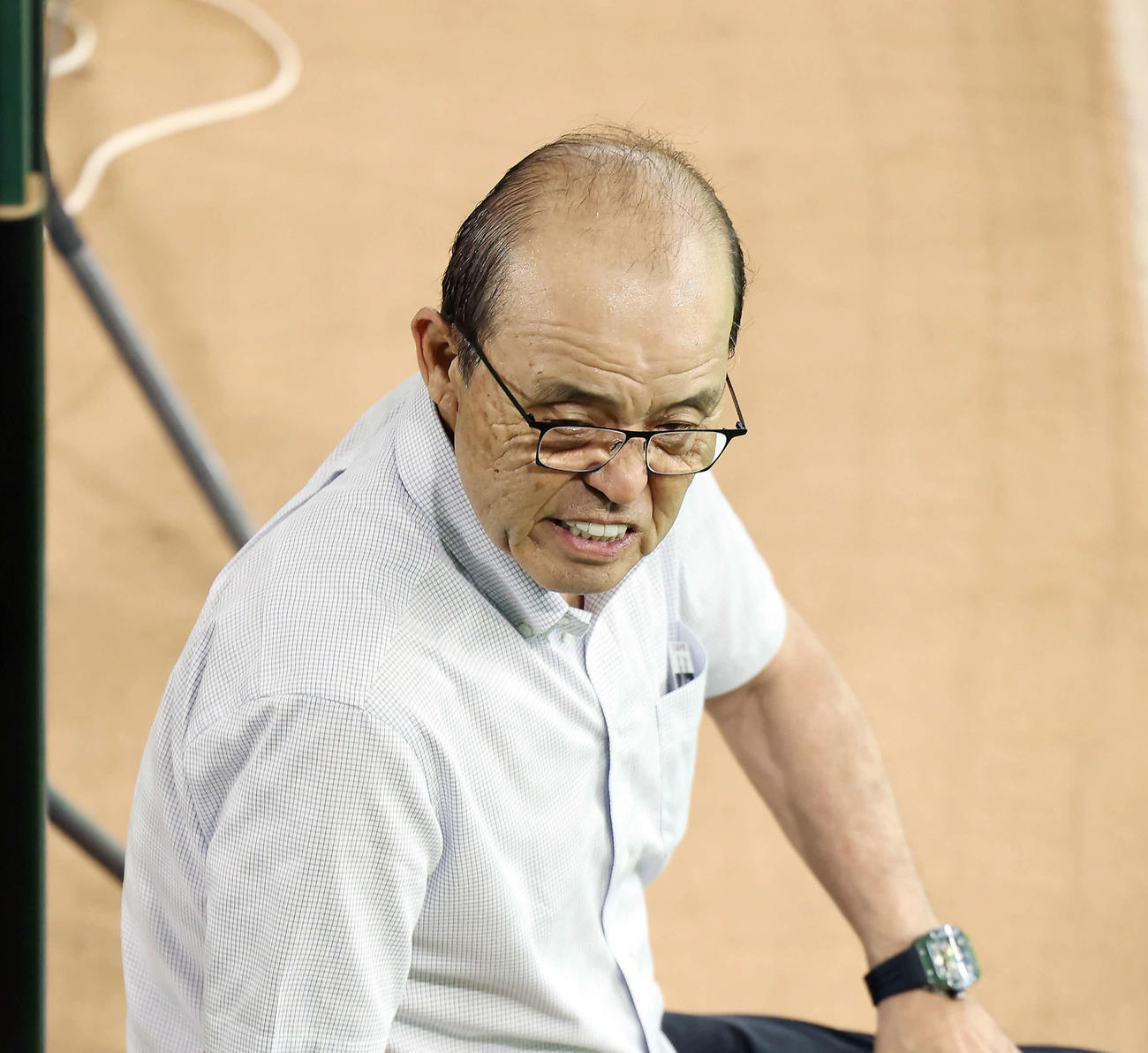 練習を見守った阪神岡田監督（撮影・前田充）