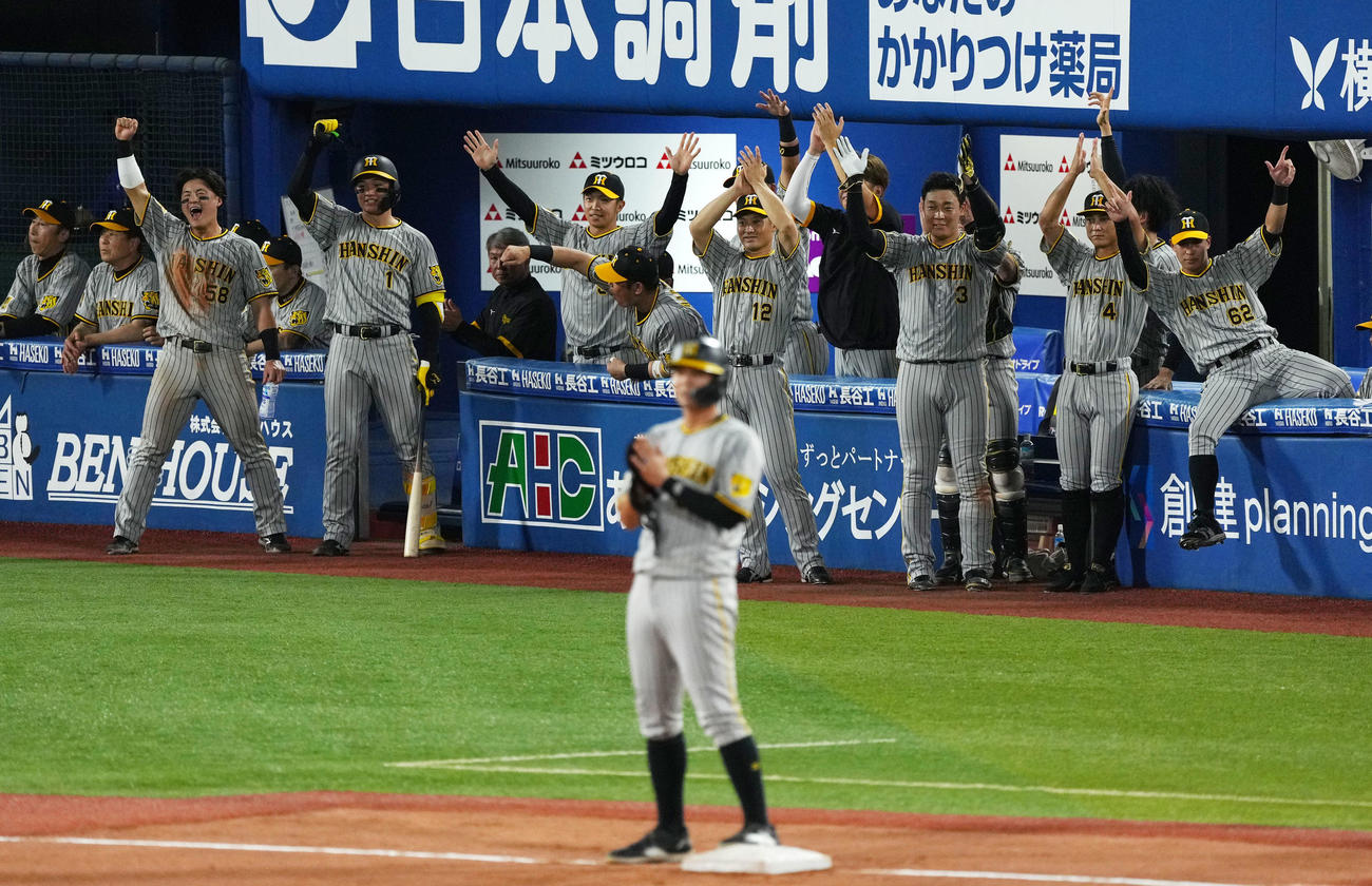 DeNA対阪神　4回表阪神2死一、三塁、近本が左中間へ適時二塁打を放ち歓喜する阪神ベンチ（撮影・横山健太）
