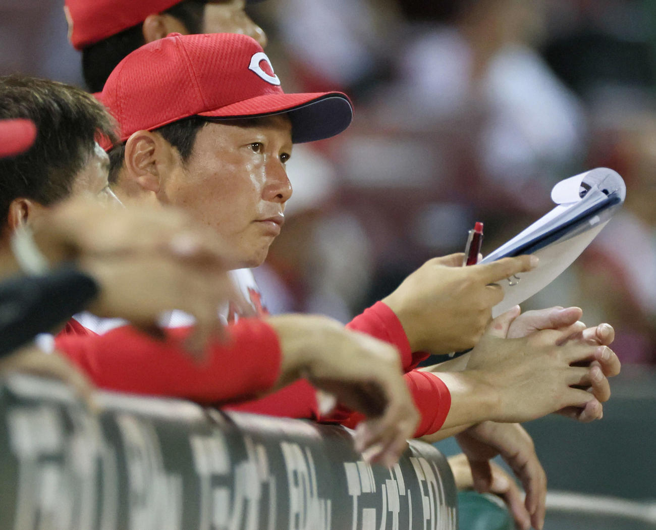 広島対巨人　5回裏、ベンチの新井監督（撮影・加藤孝規）