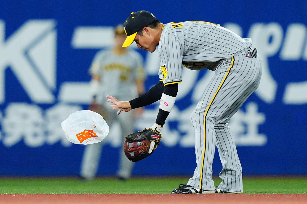 DeNA対阪神　6回裏、試合中に飛んできた崎陽軒のポリ袋を好捕する阪神木浪（撮影・垰建太）