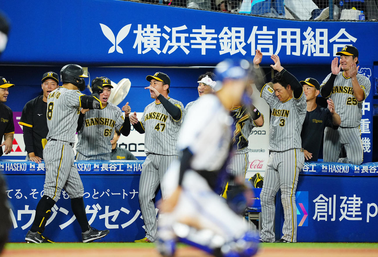 DeNA対阪神　10回表阪神1死、右越えソロ本塁打を放った佐藤輝（左）を出迎えるナイン（撮影・垰建太）