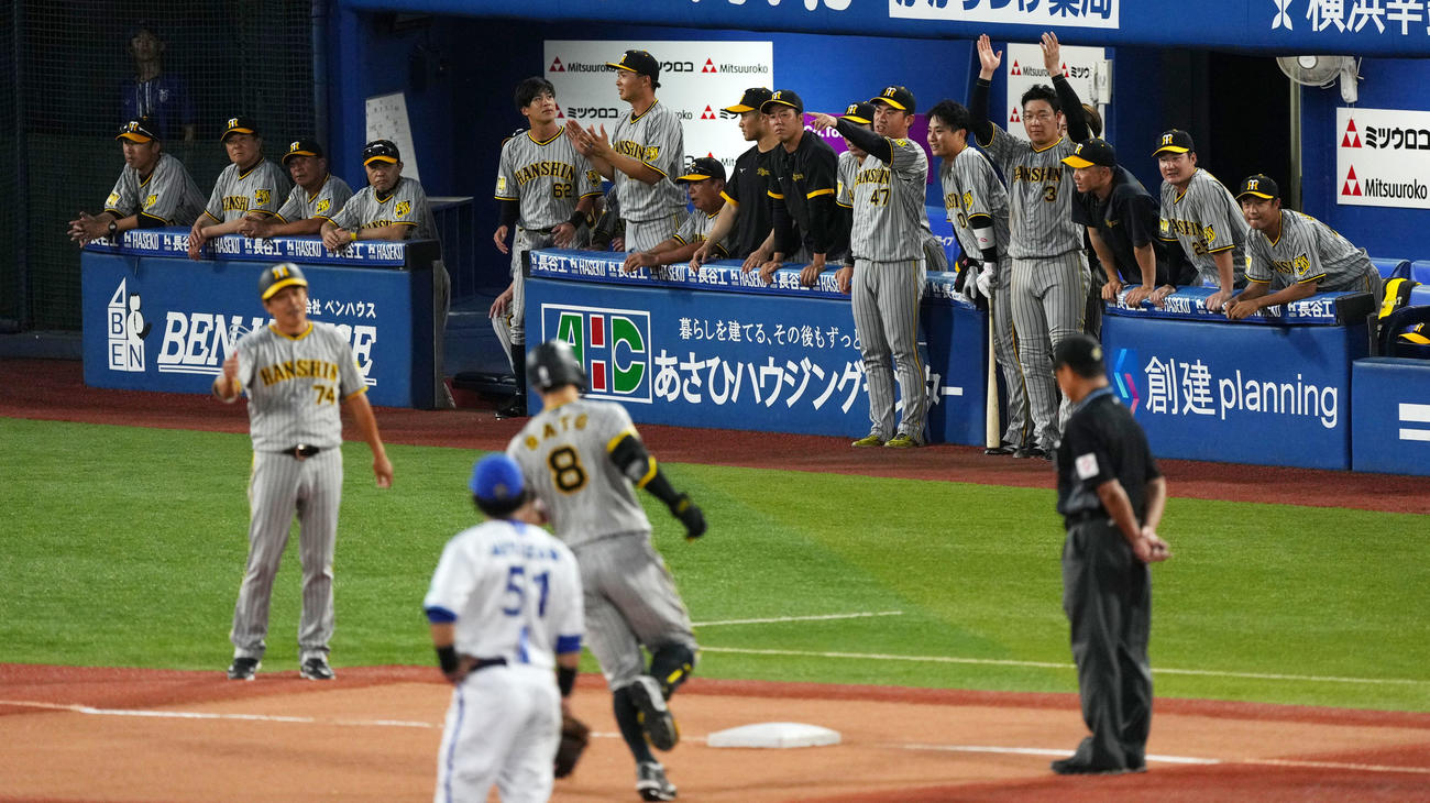 DeNA対阪神　10回表阪神1死、佐藤輝が右越え本塁打を放ち歓喜する阪神ナイン（撮影・横山健太）