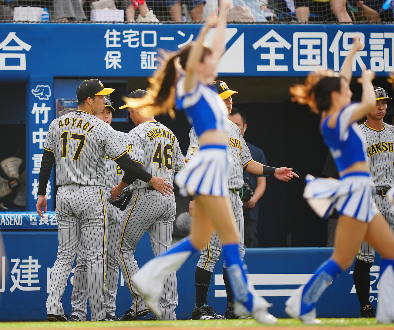 DeNA対阪神　5回裏の登板を終えた阪神島本（46番）をさえない表情で出迎える青柳（撮影・垰建太）