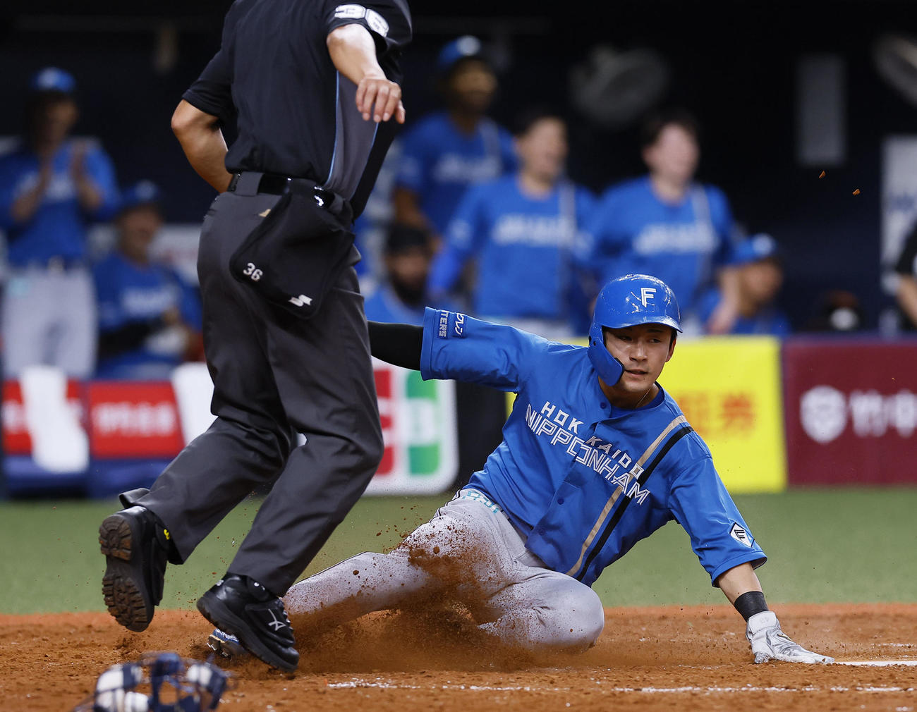 オリックス対日本ハム　5回表日本ハム1死一、三塁、田宮のスクイズで生還する水野（撮影・藤尾明華）