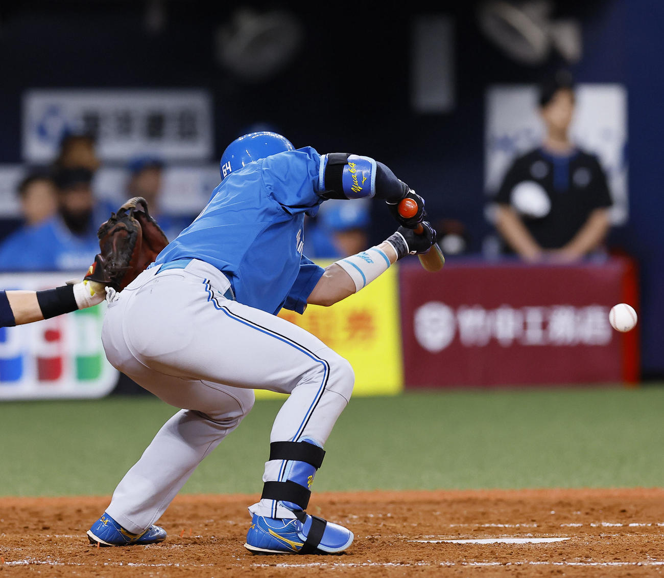 オリックス対日本ハム　5回表日本ハム1死一、三塁、田宮はスクイズを決める（撮影・藤尾明華）