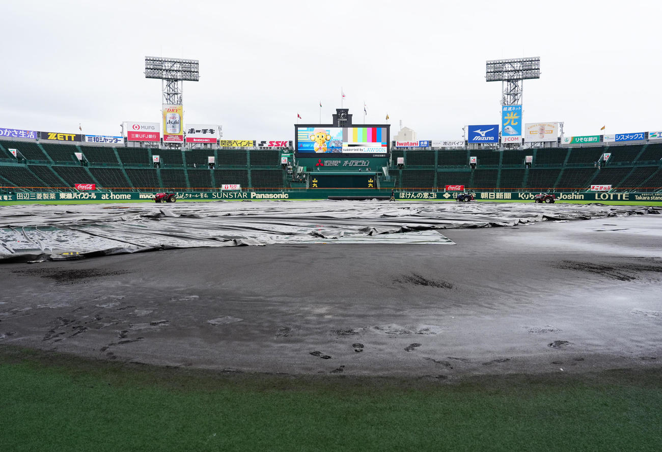 阪神対巨人　試合前、降雨でぬれた甲子園球場のグラウンド（撮影・江口和貴）