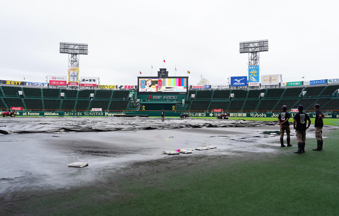 阪神対巨人　試合前、降雨でぬれた甲子園球場のグラウンド（撮影・江口和貴）