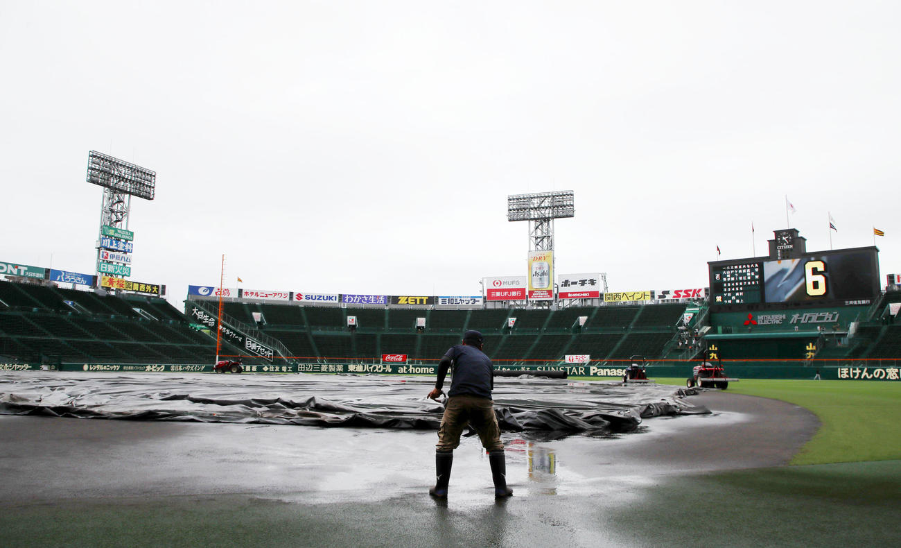 阪神対巨人　小雨になりスコップで土をすくう阪神園芸のグラウンドキーパー（撮影・加藤哉）