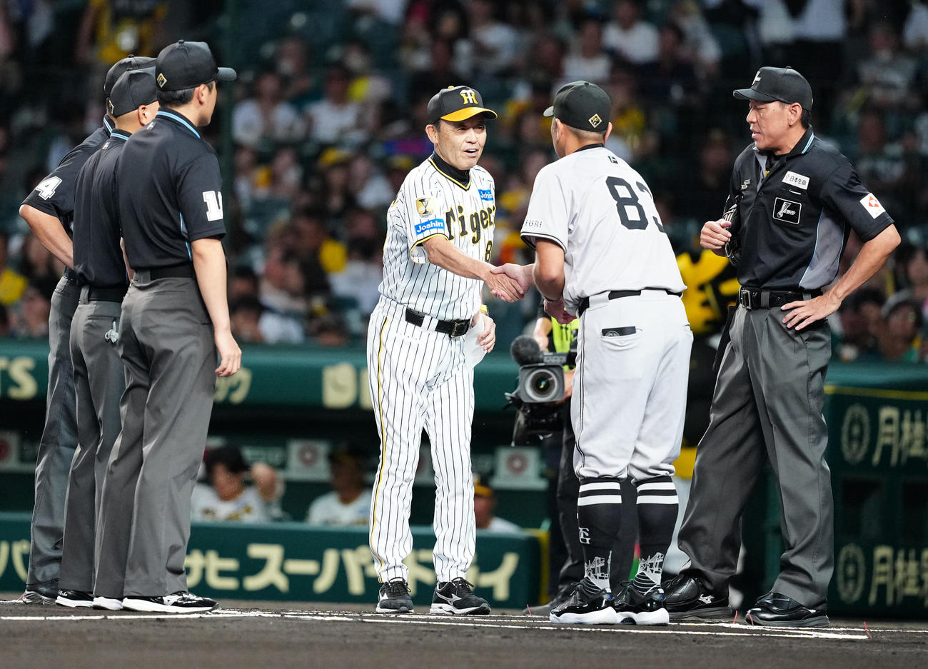 阪神対巨人　試合前、握手を交わす阪神岡田監督（中央左）と巨人阿部監督（撮影・江口和貴）