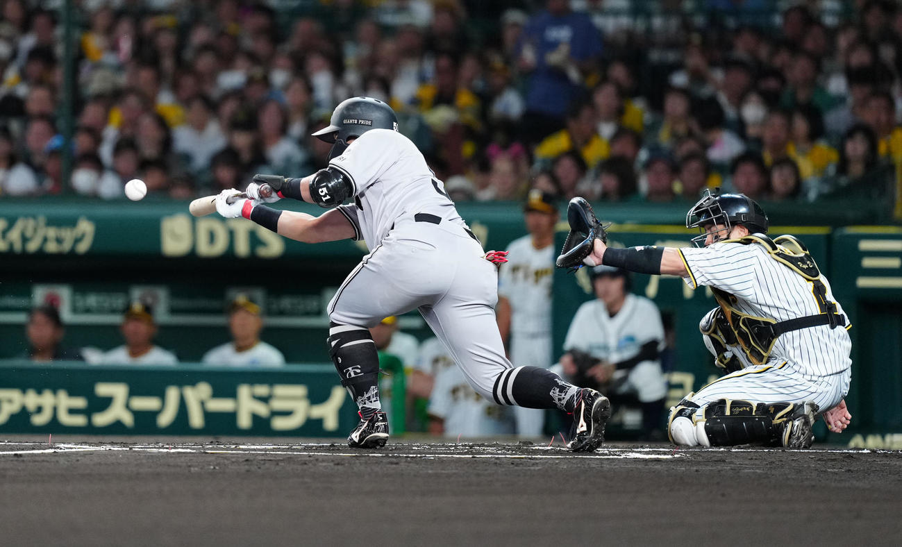 阪神対巨人　1回表巨人無死一塁、送りバントを失敗する浅野（撮影・江口和貴）
