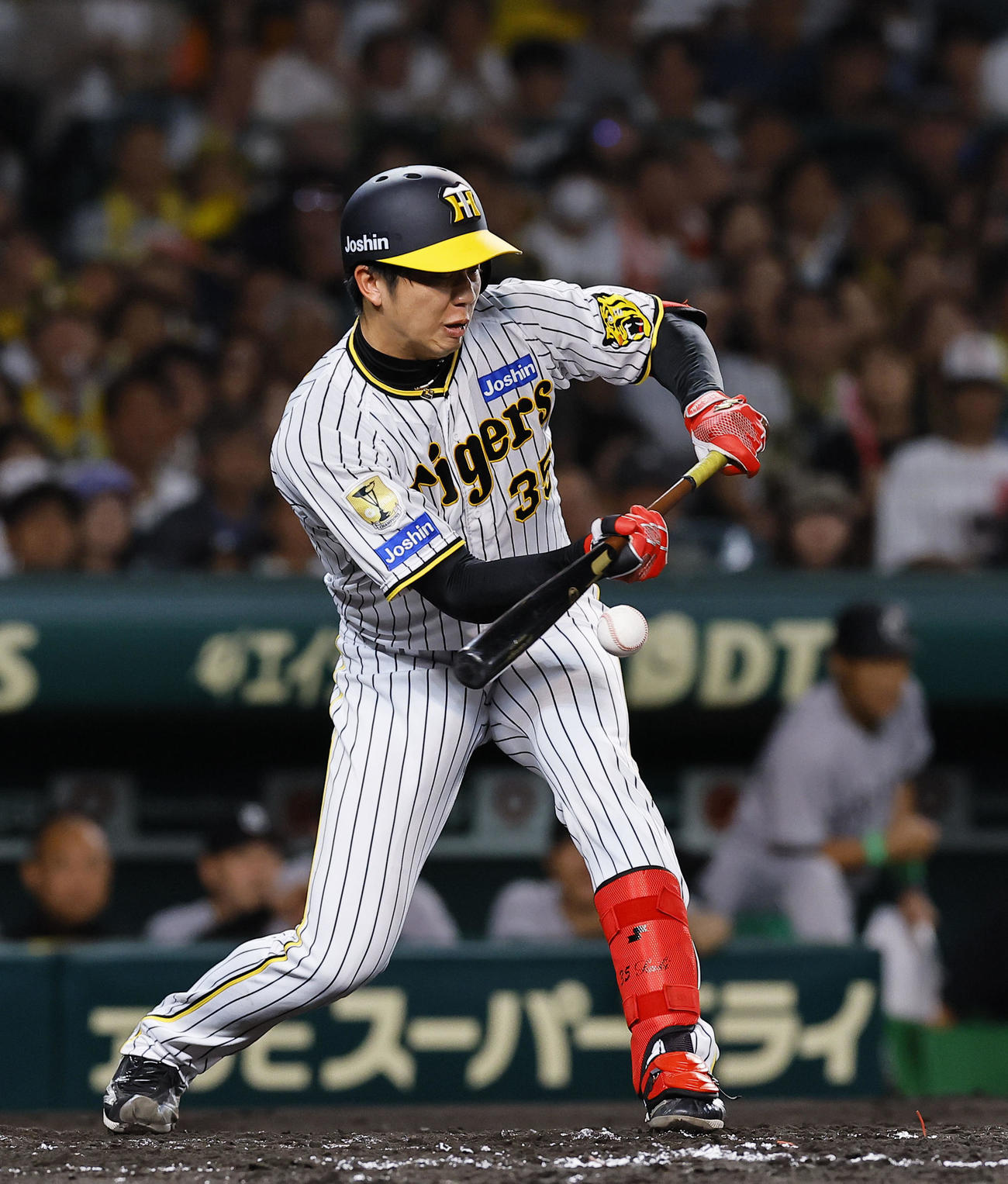 阪神対巨人　3回裏阪神1死一塁、才木は捕前犠打を決める（撮影・藤尾明華）