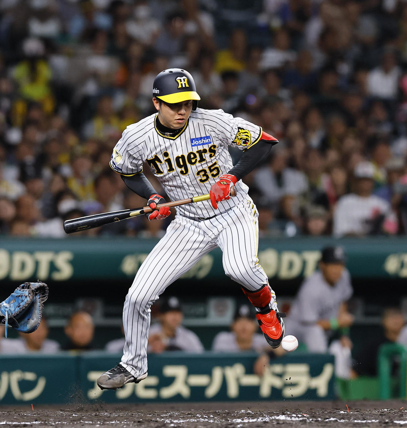阪神対巨人　3回裏阪神1死一塁、才木は捕前犠打を決める（撮影・藤尾明華）
