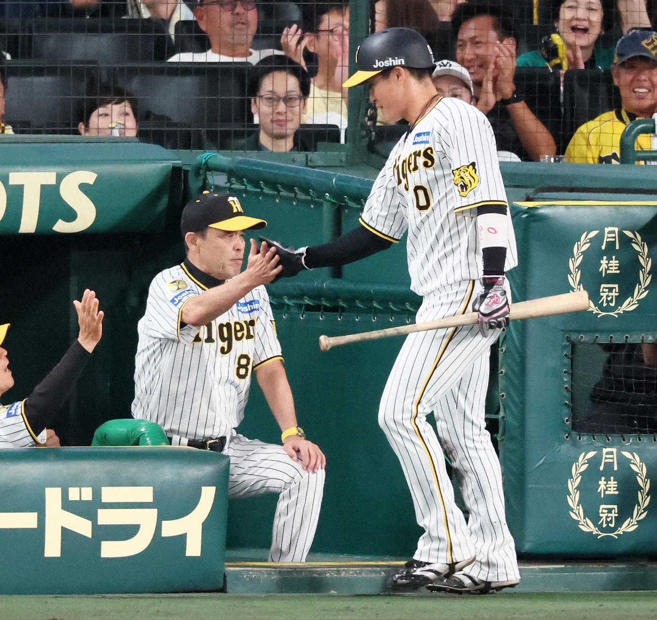 阪神対巨人　3回裏阪神2死一、三塁、岡田監督（左）は中野の右適時打で生還した三塁走者木浪を出迎える（撮影・加藤哉）