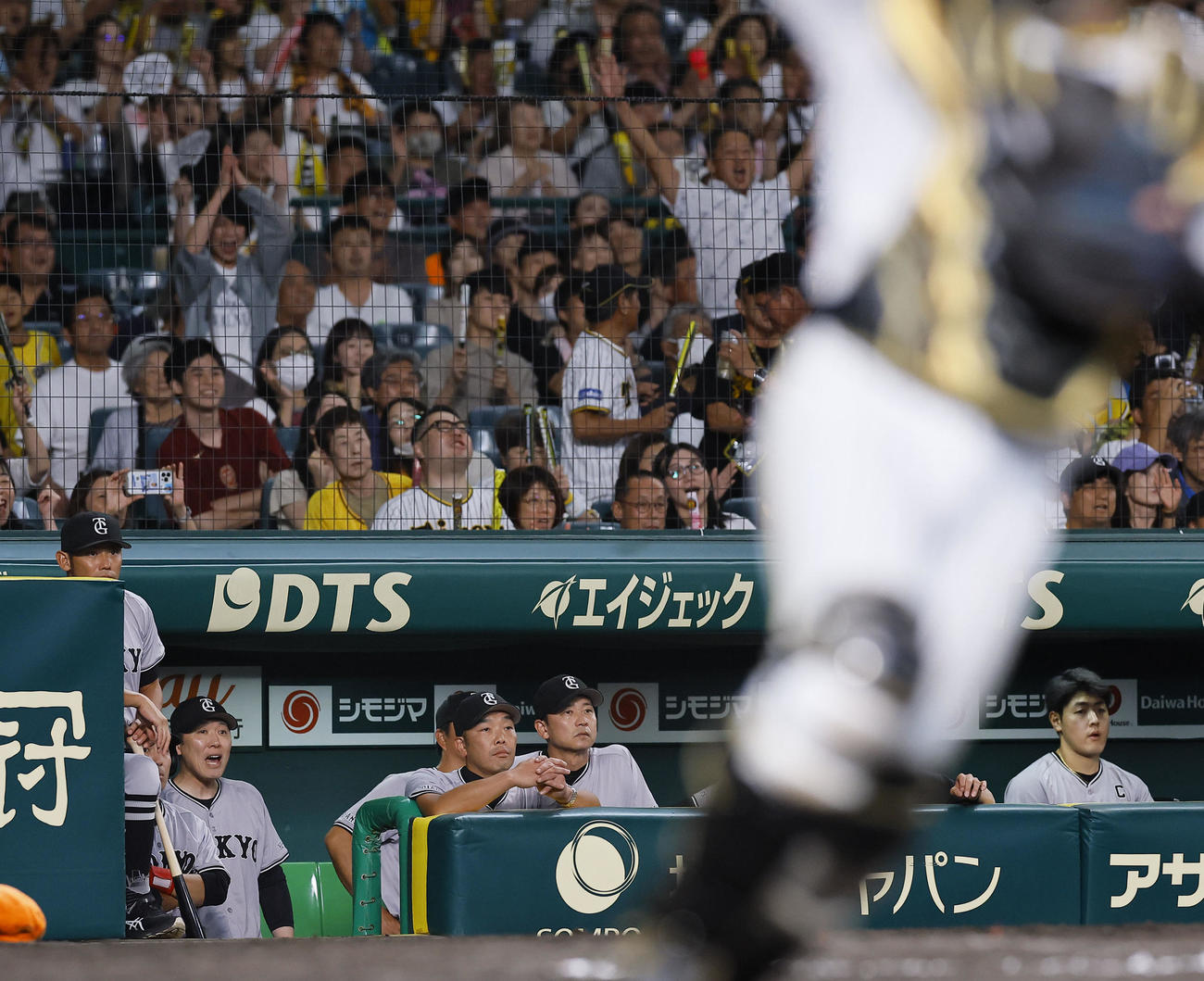 阪神対巨人　9回表巨人2死、モンテスが遊ゴロに倒れ、試合終了をベンチから見つめる巨人阿部監督（左から3人目）（撮影・藤尾明華）