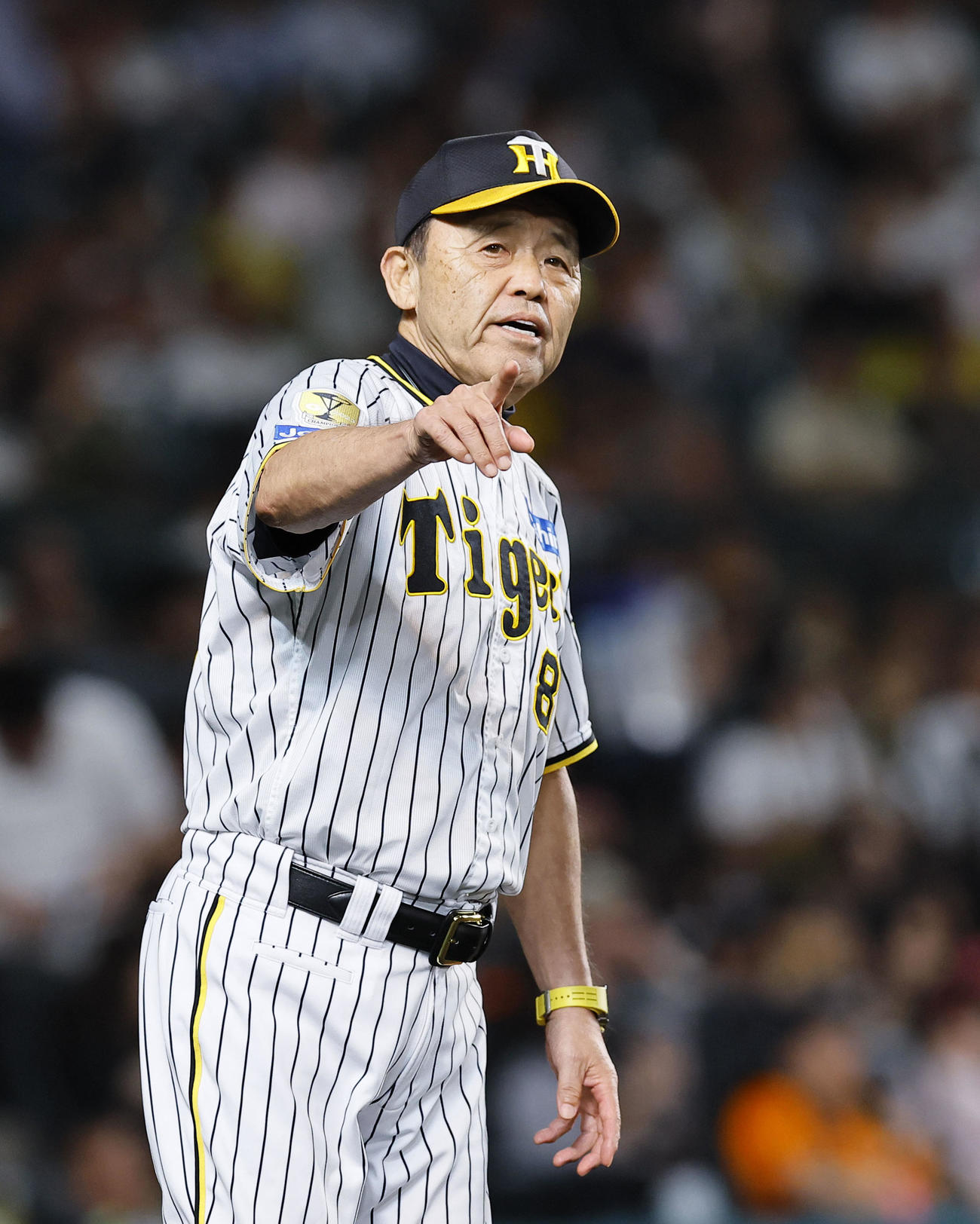 阪神対巨人　8回、交代を告げる阪神岡田監督（撮影・藤尾明華）