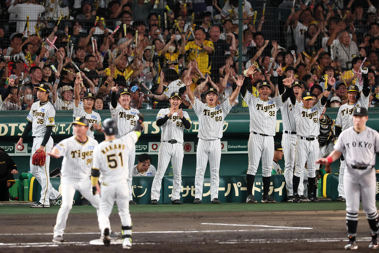 阪神対巨人　3回裏阪神2死一、三塁、中野は右へ適時打を放ち盛り上がるベンチのナイン（撮影・加藤哉）
