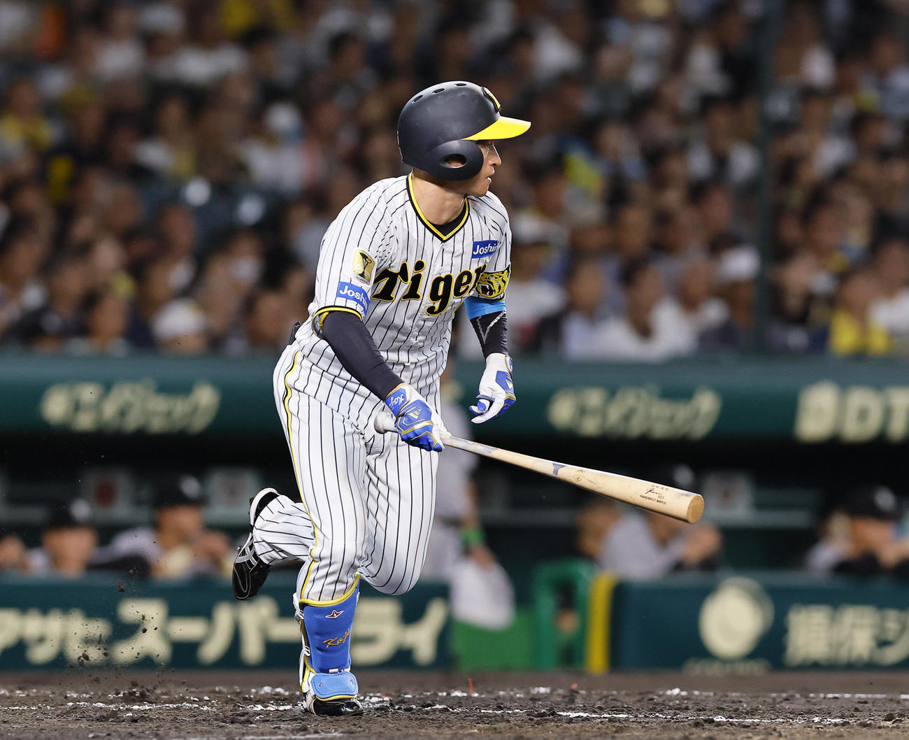 阪神対巨人　3回裏阪神2死二塁、近本は左前打を放つ（撮影・藤尾明華）