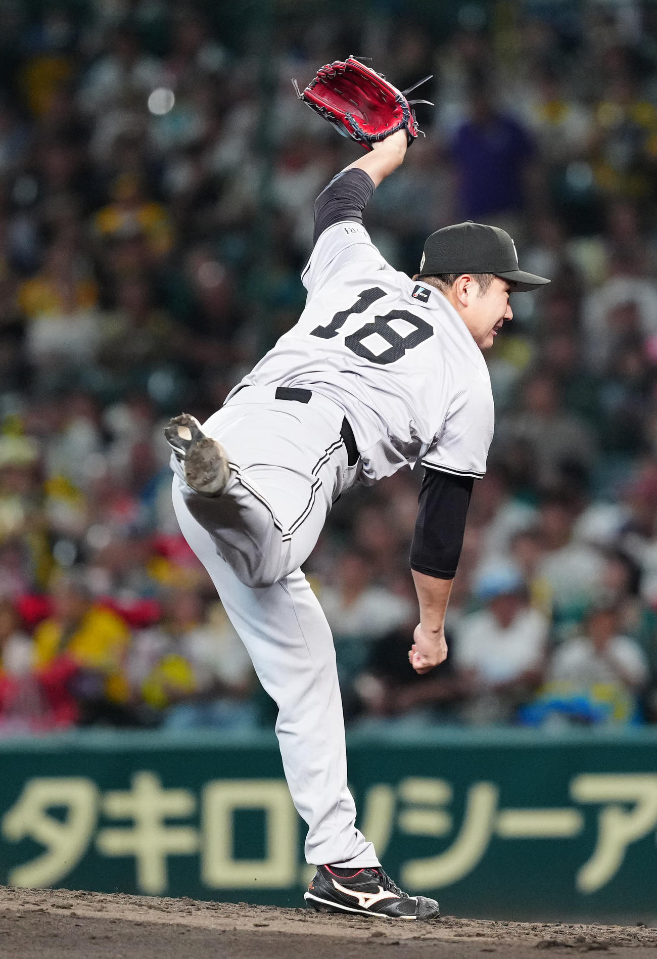 阪神対巨人　巨人先発の菅野（撮影・江口和貴）